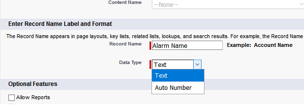 Salesforce object name format selection