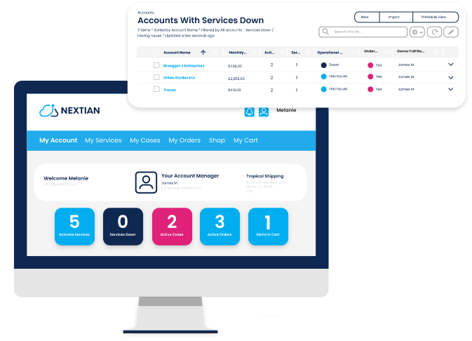 Screenshot of Customer accounts with services down in the Nextian Customer Portal and the CRM