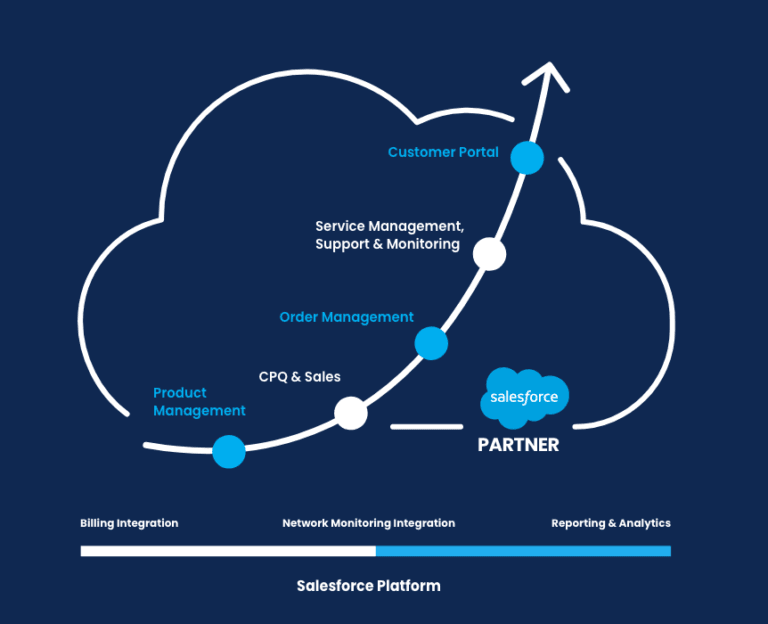 Subscription Management Demo, Sales Cloud