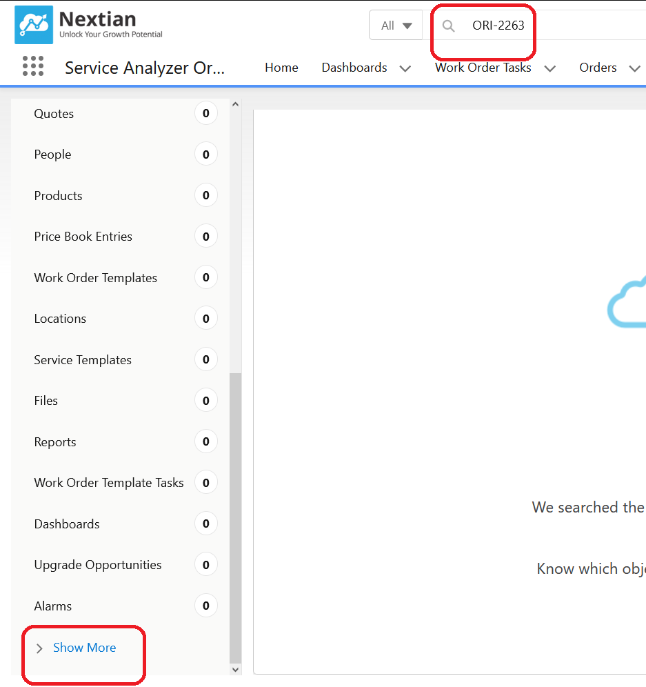 Nextian custom objects and Salesforce search