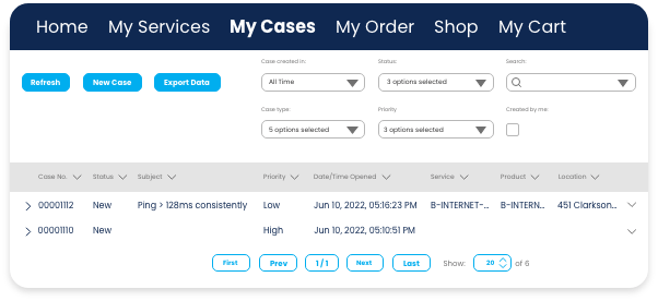 Customer Portal support cases